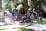 graveyard1.jpg
